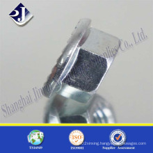 Hex Flange Nut with Bright Zinc